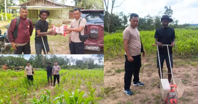 
					Polsek Tanah Miring Genjot Produksi Jagung Petani