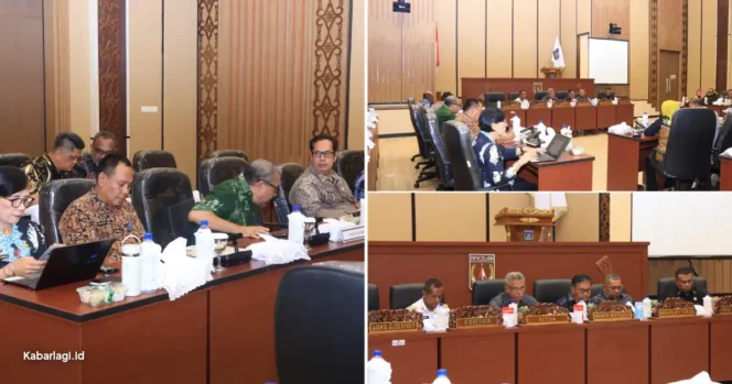 
					Pemprov Papua Selatan Susun Pergub SSH Guna Percepat Kepastian Hak Keuangan DPRP