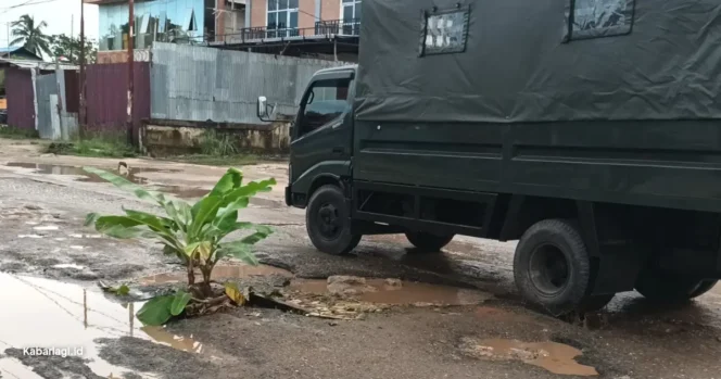 
					Kecewa Warga Merauke Tanam Pohon Pisang di Jalan Rusak