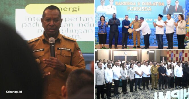 
					Pemprov Papua Selatan Ajak HIPMI Libatkan Pengusaha OAP