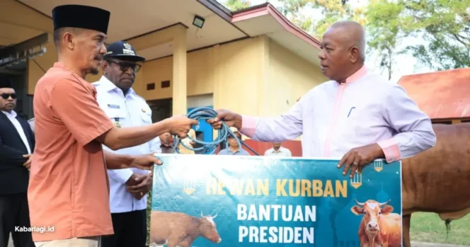 
					Pemprov Papua Selatan Salurkan Enam Ekor Sapi Kurban Bantuan Presiden Prabowo Subianto