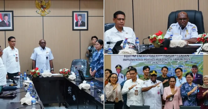 
					Papua Selatan Gandeng GGGI Bentuk Forum Energi Daerah Strategis