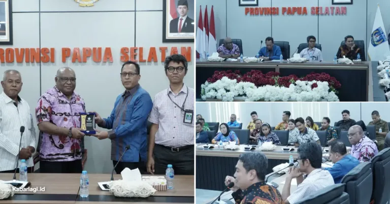 Pemprov Papua Selatan Gandeng DJKN Gelar Edukasi Lelang Guna Benahi Tata Kelola Aset Daerah