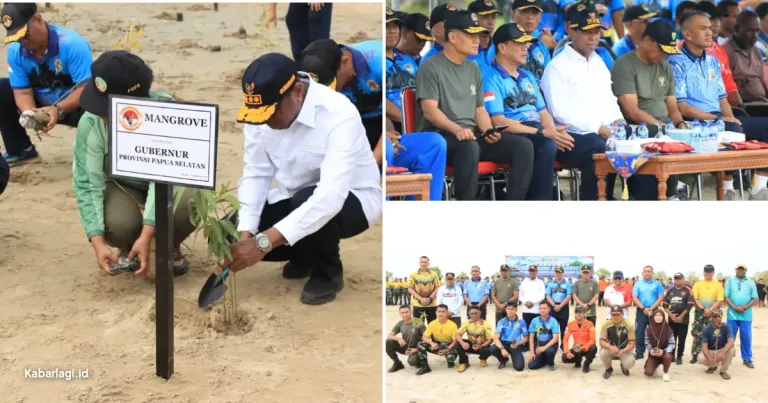 Sampul berita: Apolo Safanpo Minta Warga Jaga Mangrove Payum