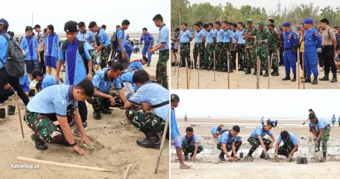 
					TNI dan Warga Tanam 3.000 Bibit Mangrove di Pantai Yobar Merauke