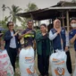 TEP IPB Kaji Jerami Amoniasi, Siasati Pakan Sapi Salor Saat Kemarau