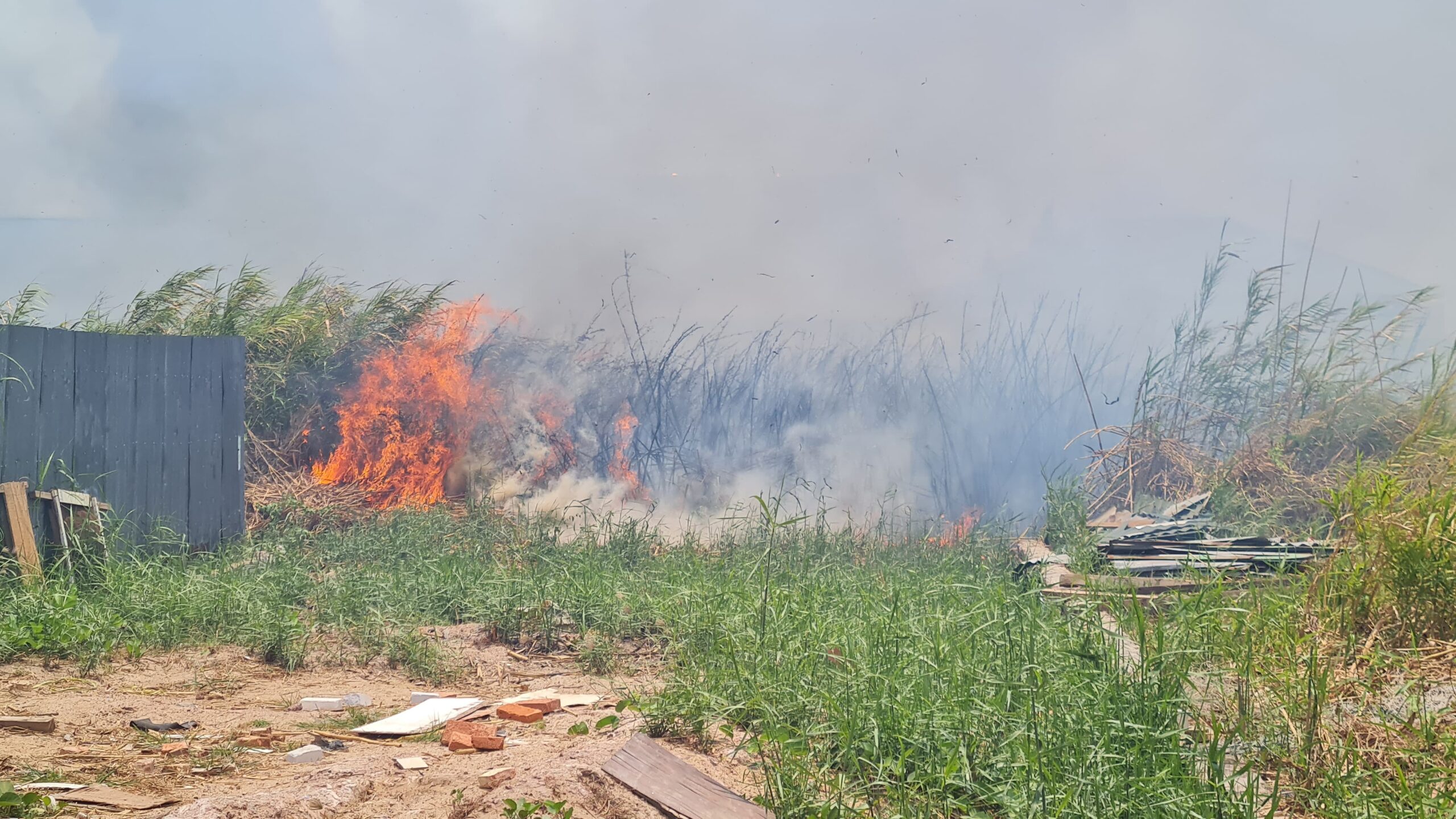 Kebakaran lahan di Gang H. Kasim Merauke